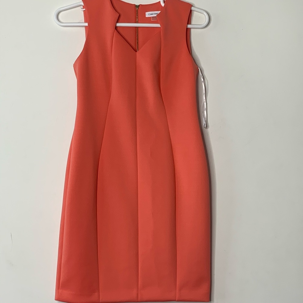 CALVIN KLEIN Womens New Orange S12